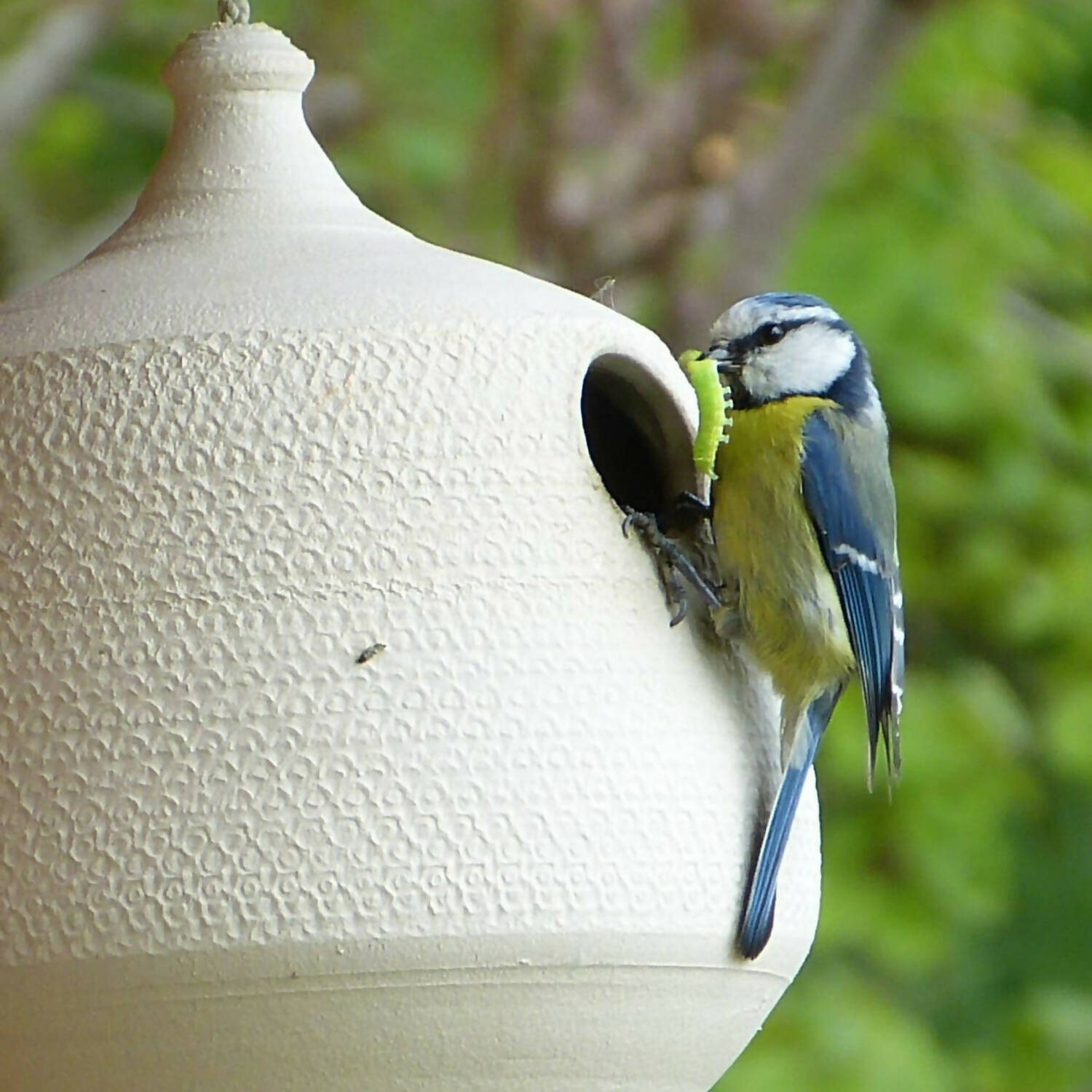 Nichoir Grès blanc | EMPREINTES Paris