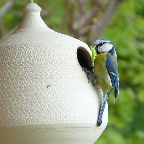 Nichoir Grès blanc | EMPREINTES Paris - EMPREINTES Paris