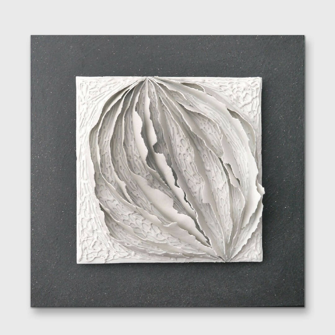 Bas relief tableau papier porcelaine collection écorce Noisette | EMPREINTES Paris