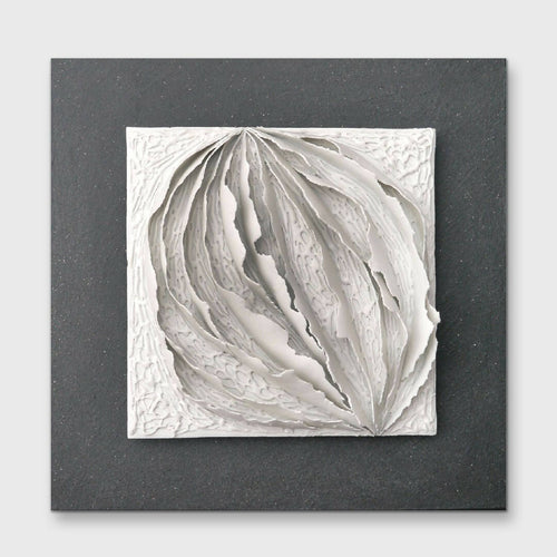 Bas relief tableau papier porcelaine collection écorce Noisette | EMPREINTES Paris - EMPREINTES Paris