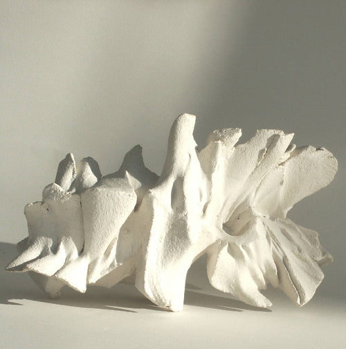 Sculpture PLI-EX-NATURA 5 | EMPREINTES Paris - EMPREINTES Paris