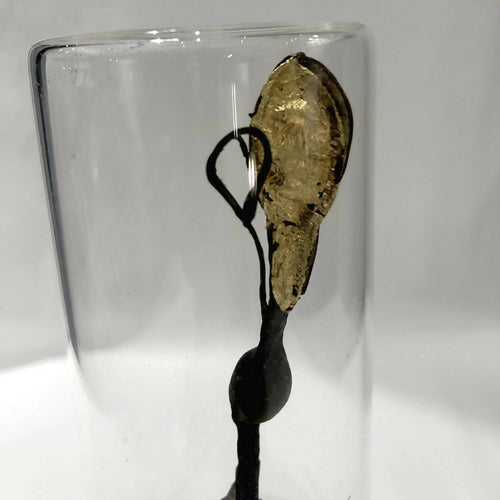 Composition Antenne | EMPREINTES Paris - EMPREINTES Paris