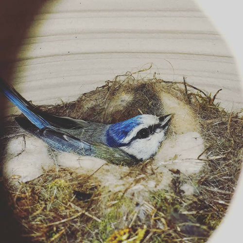 Nichoir Grès blanc | EMPREINTES Paris - EMPREINTES Paris