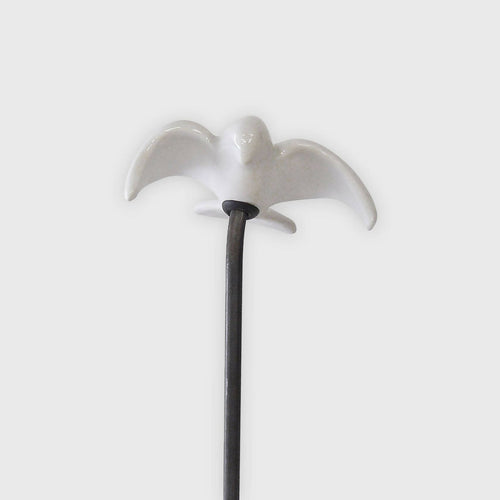 Colombe brillante | EMPREINTES Paris - EMPREINTES Paris