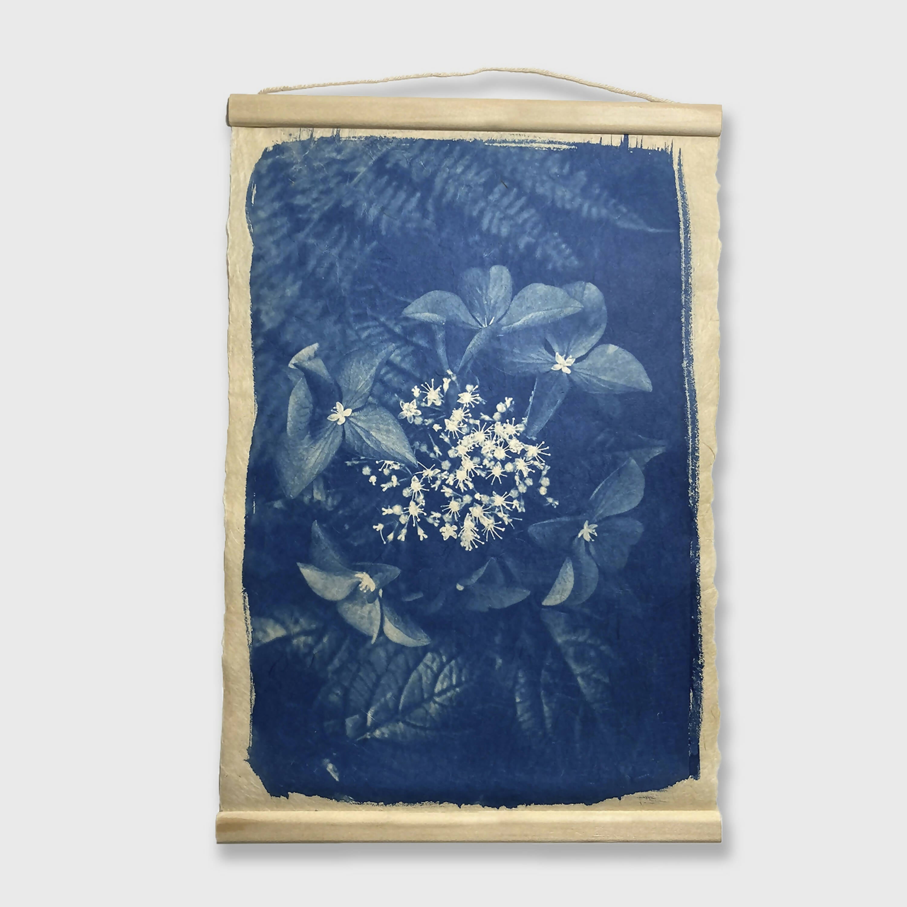 Cyanotype L’hortensia bleu  | EMPREINTES Paris | EMPREINTES Paris