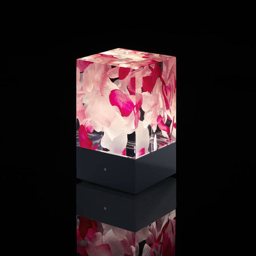 D-cüb Roses - socle blanc | EMPREINTES Paris - EMPREINTES Paris