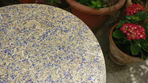 Plateau Pieds d'Alouette-Foin | EMPREINTES Paris - EMPREINTES Paris