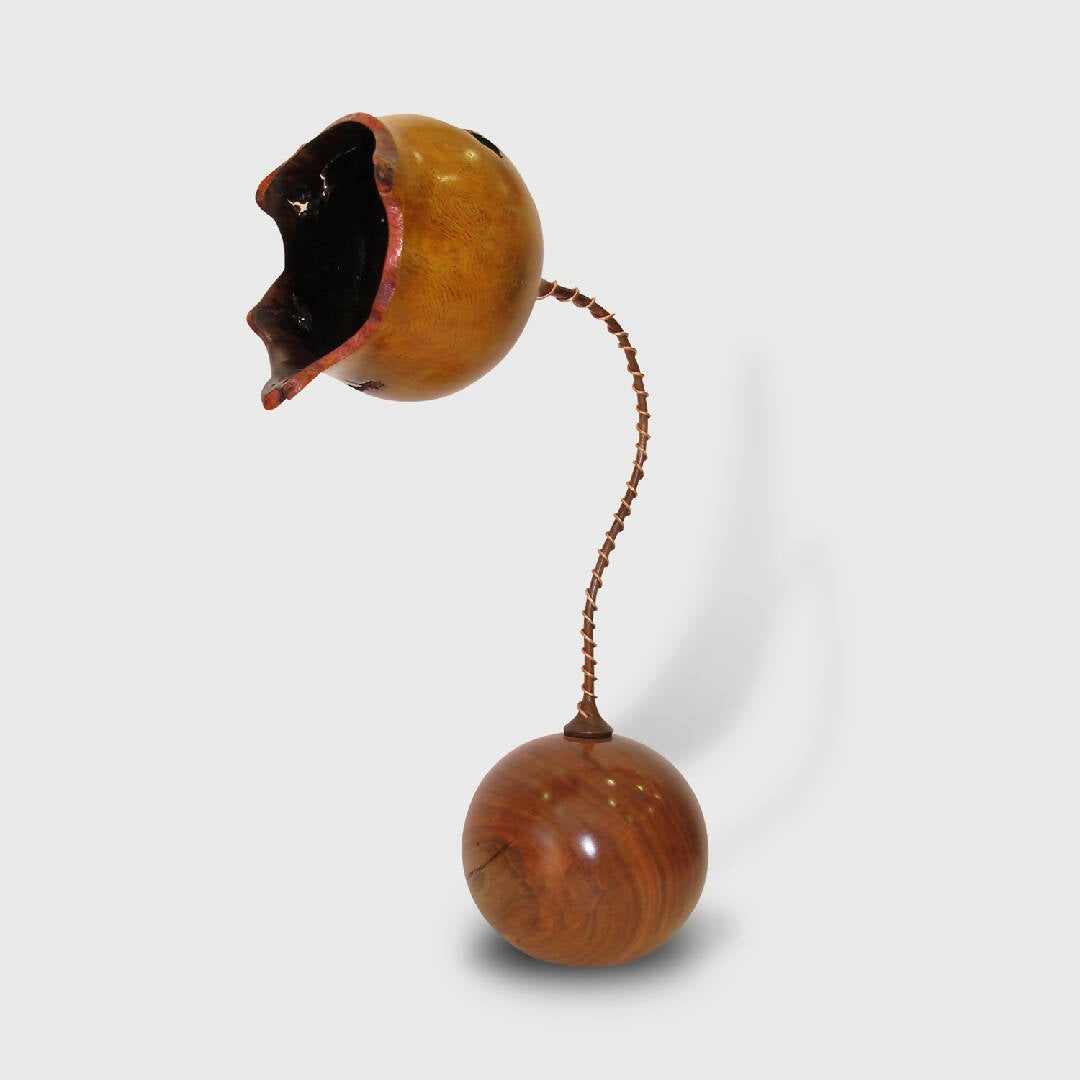 Sculpture florale en amandier et loupe de chêne | EMPREINTES Paris