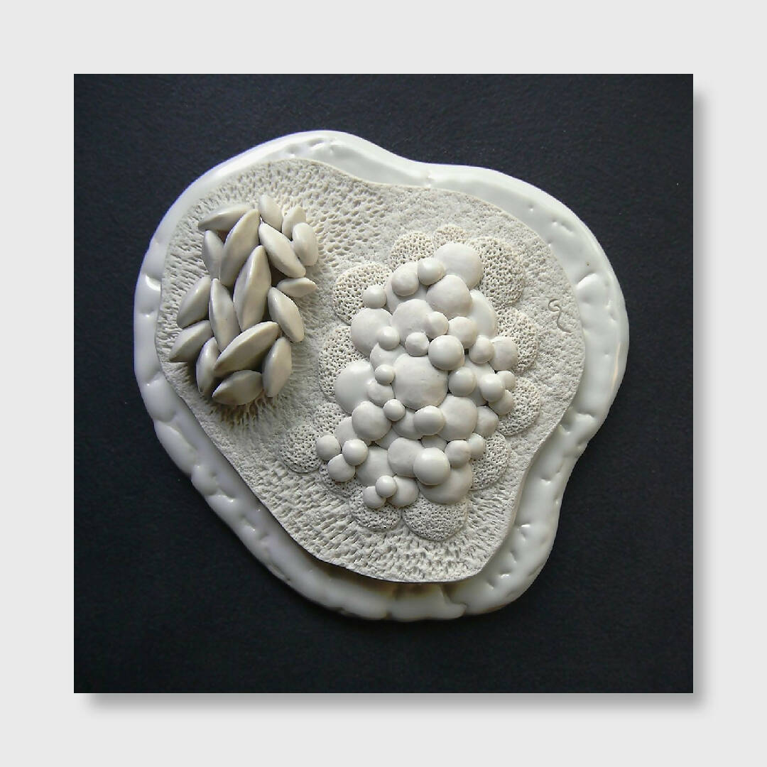 Bas relief tableau porcelaine collection nature | EMPREINTES Paris