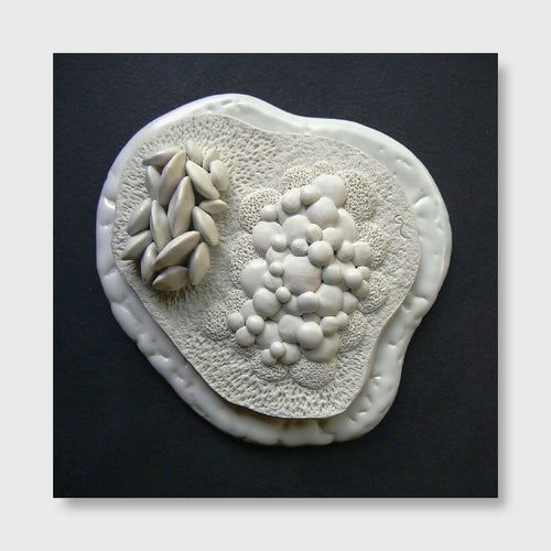 Bas relief tableau porcelaine collection nature | EMPREINTES Paris - EMPREINTES Paris