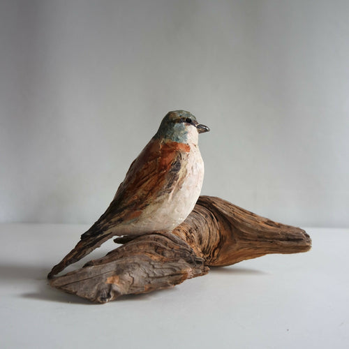 Sculpture Pie grièche sur fragment de bois | EMPREINTES Paris - EMPREINTES Paris