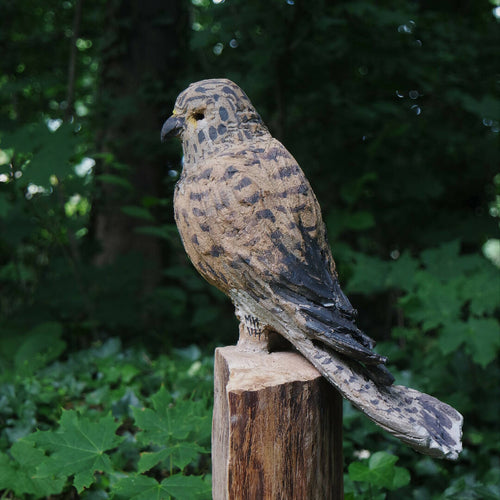 Sculpture Faucon crécerelle sur cyprès | EMPREINTES Paris - EMPREINTES Paris