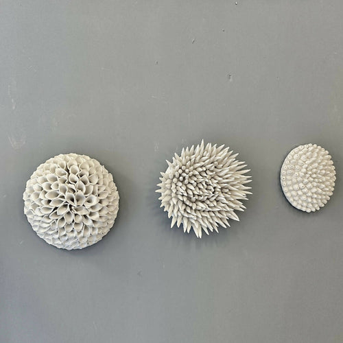 Sculpture Médaillon corail | EMPREINTES Paris - EMPREINTES Paris