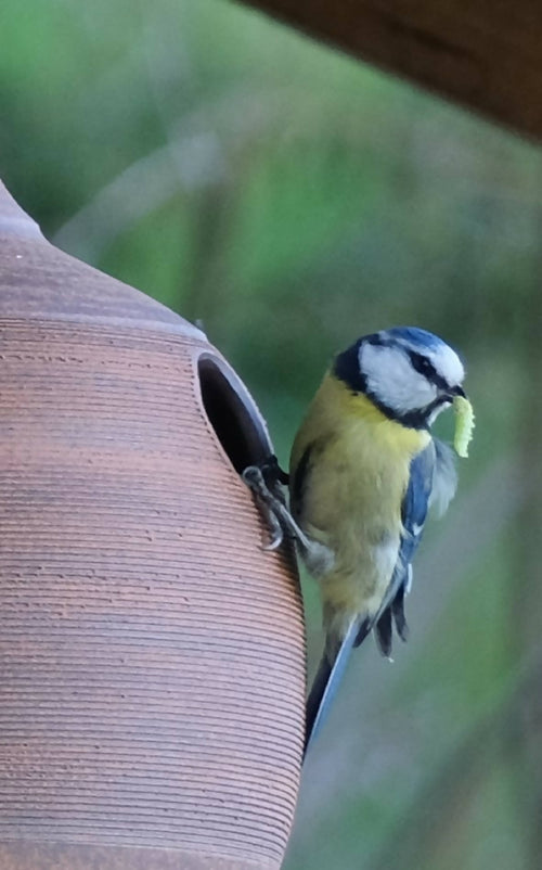 Nichoir Corten | EMPREINTES Paris - EMPREINTES Paris