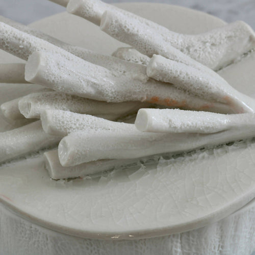 Boîte en porcelaine coraux | EMPREINTES Paris - EMPREINTES Paris