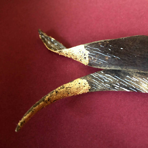 Composition Cornu | EMPREINTES Paris - EMPREINTES Paris