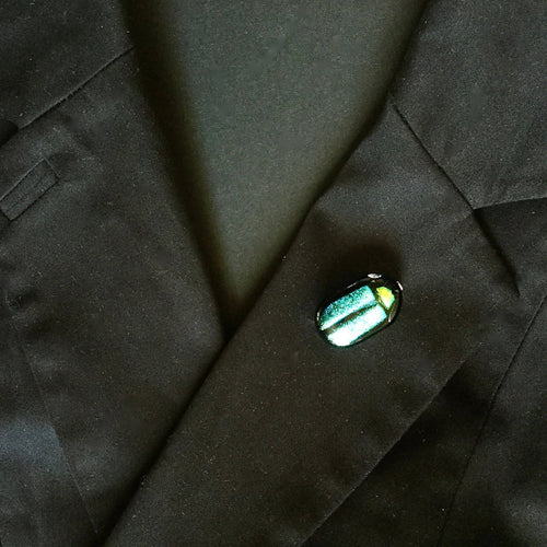 Broche Scarabée bleu-vert | EMPREINTES Paris - EMPREINTES Paris