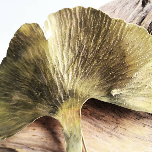 Pince à chignon Ginkgo Biloba en laiton | EMPREINTES Paris - EMPREINTES Paris