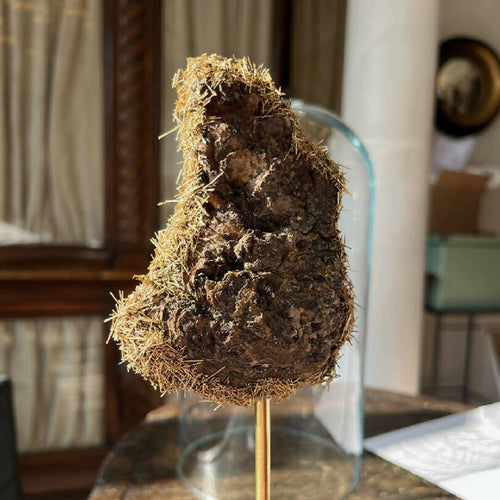 Sculpture SCINTILLEMENT D'ÉCORCE | EMPREINTES Paris - EMPREINTES Paris