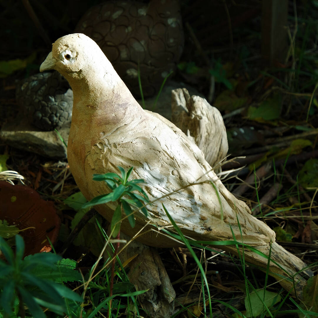 Sculpture Pigeon roux sur bois | EMPREINTES Paris