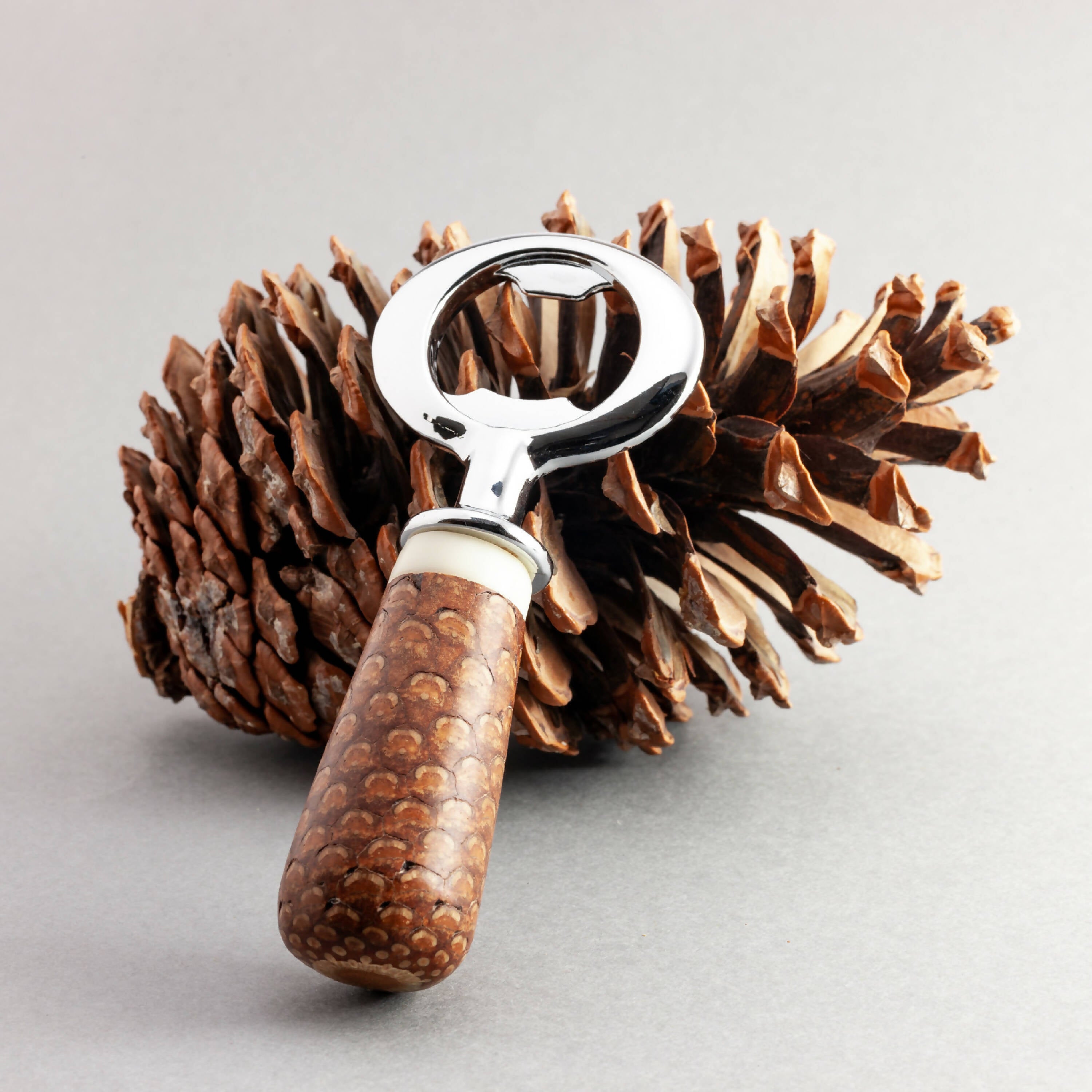 Décapsuleur pomme de pin | EMPREINTES Paris