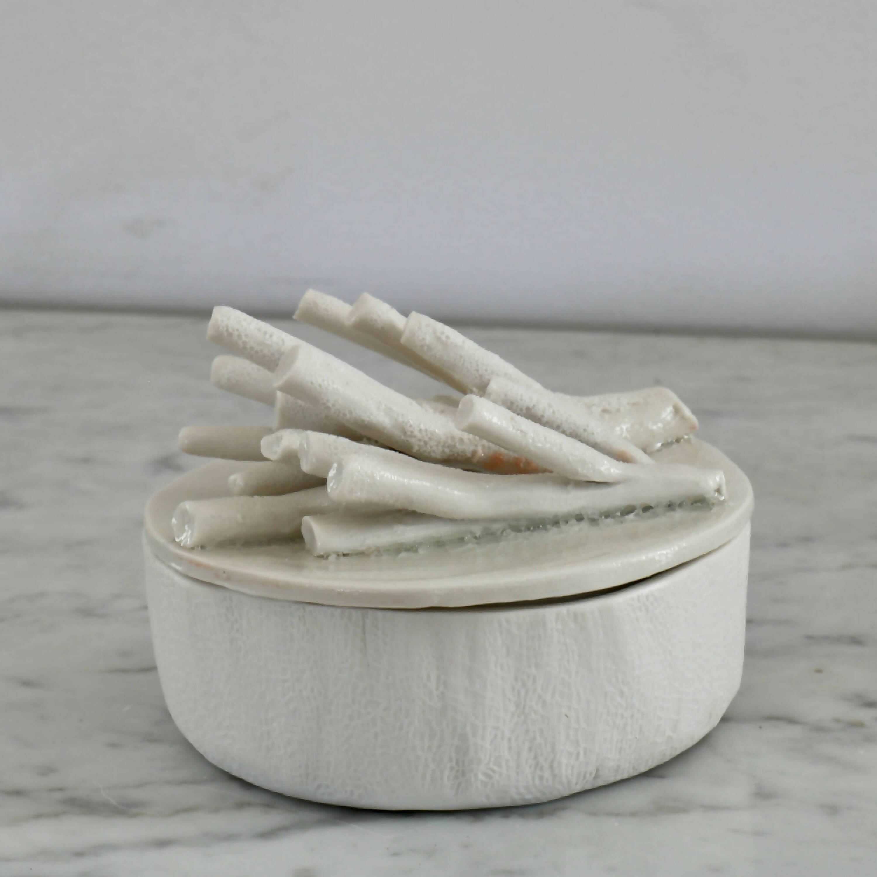 Boîte en porcelaine coraux | EMPREINTES Paris