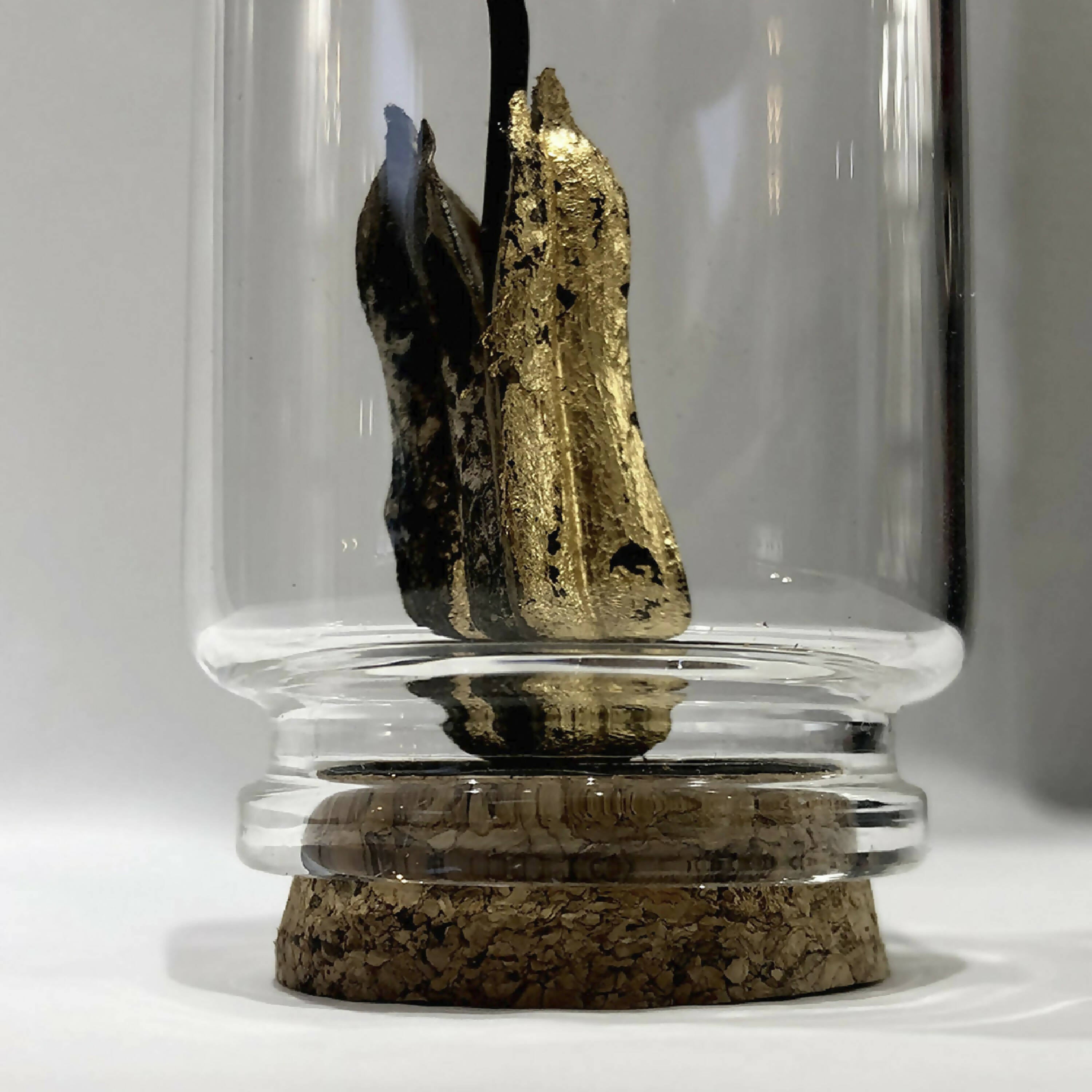 Composition Antenne | EMPREINTES Paris