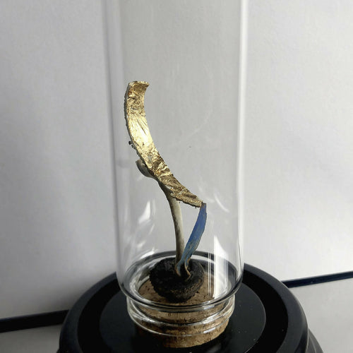 Compostion Escalade | EMPREINTES Paris - EMPREINTES Paris