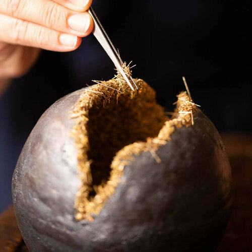 Sculpture LE SEL DE LA TERRE | EMPREINTES Paris - EMPREINTES Paris