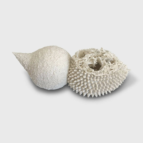 WU6QRxVjUF | EMPREINTES Paris - EMPREINTES Paris