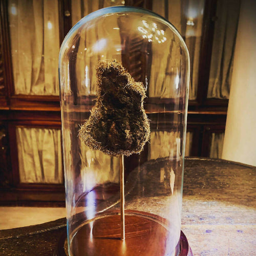 Sculpture SCINTILLEMENT D'ÉCORCE | EMPREINTES Paris - EMPREINTES Paris