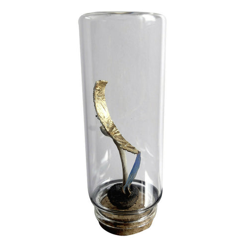 Compostion Escalade | EMPREINTES Paris - EMPREINTES Paris