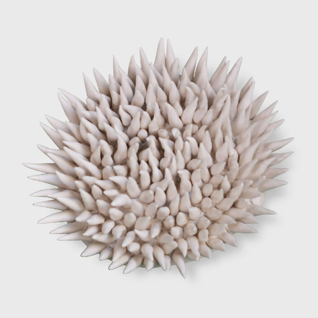 Médaillon mural Porcelaine | EMPREINTES Paris