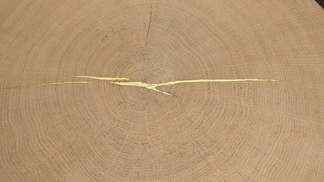 Plateau Chêne Doré | EMPREINTES Paris