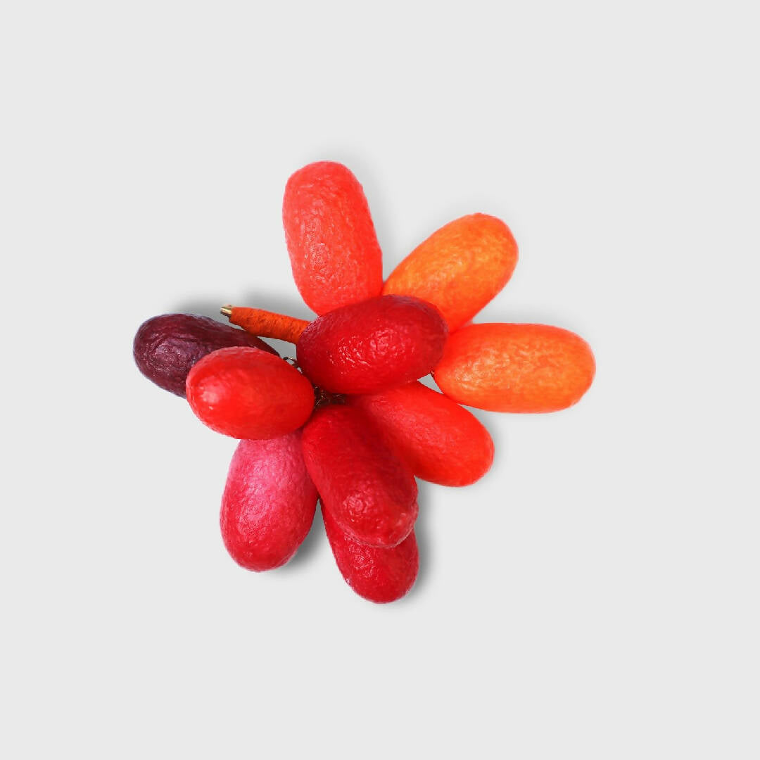 Broche Vibrio W rouge | EMPREINTES Paris