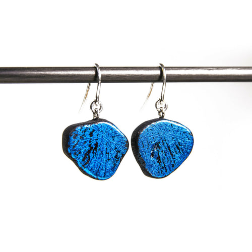 Boucles d’oreilles GIN-BLUE-SASHI 1 | EMPREINTES Paris - EMPREINTES Paris