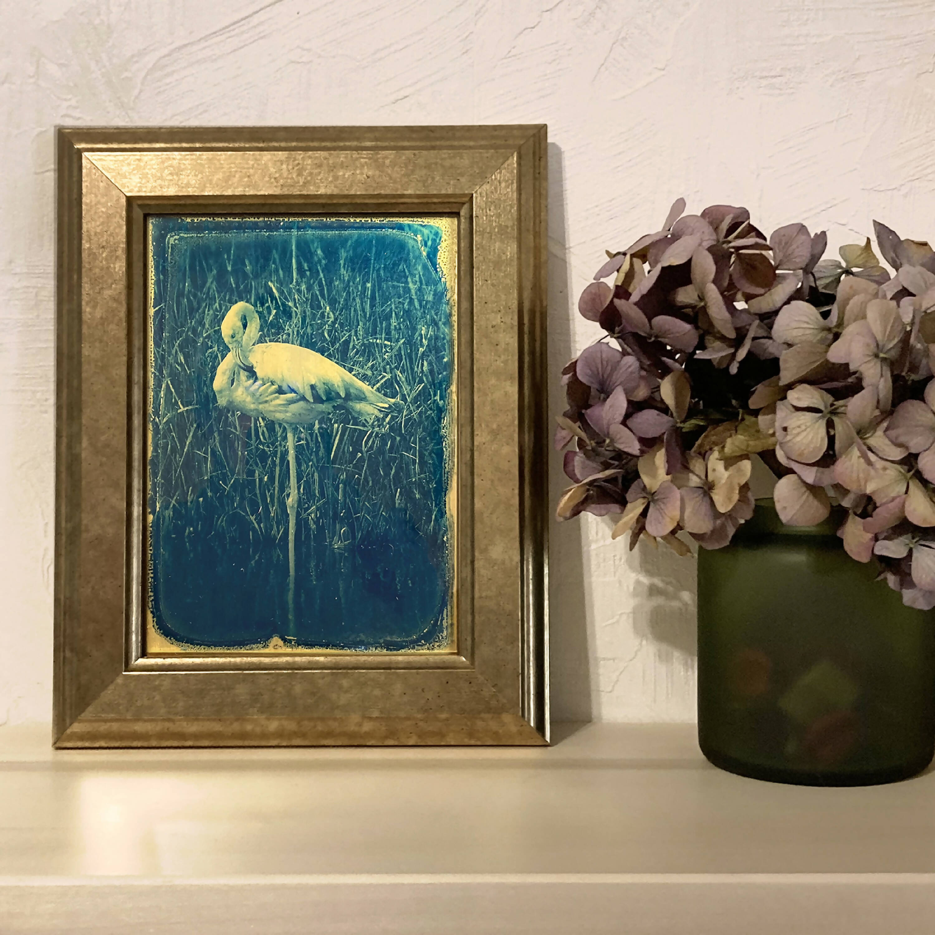 Cyanotype sur verre Le flamant rose | EMPREINTES Paris | EMPREINTES Paris