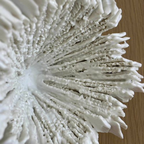 Sculpture Abysse 19 | EMPREINTES Paris - EMPREINTES Paris