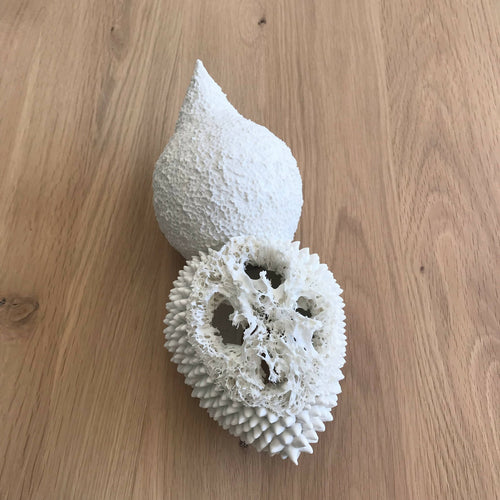 WU6QRxVjUF | EMPREINTES Paris - EMPREINTES Paris