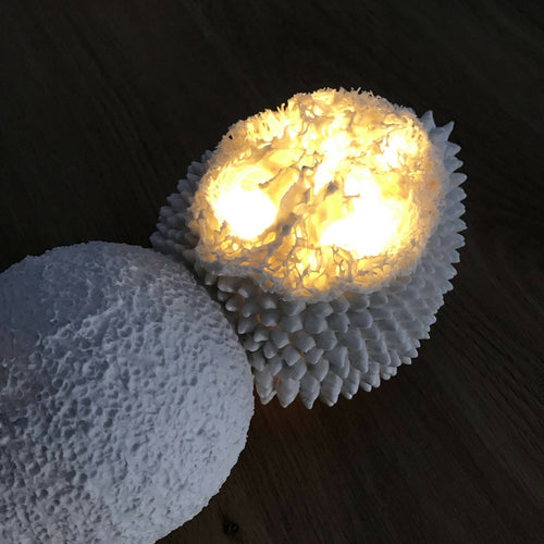 WU6QRxVjUF | EMPREINTES Paris - EMPREINTES Paris