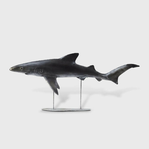Sculpture Requin Peau Bleue | EMPREINTES Paris - EMPREINTES Paris