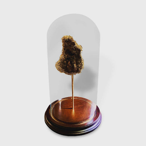 Sculpture SCINTILLEMENT D'ÉCORCE | EMPREINTES Paris - EMPREINTES Paris