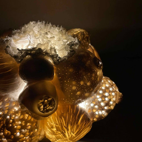 Sculpture Abysse lumineuse 19 | EMPREINTES Paris - EMPREINTES Paris