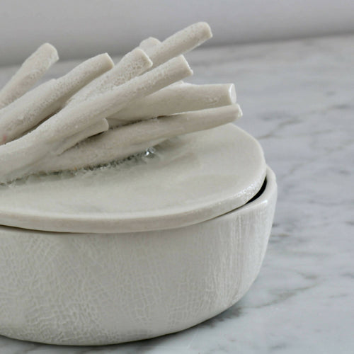 Boîte en porcelaine coraux | EMPREINTES Paris - EMPREINTES Paris