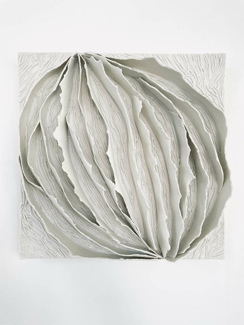 Bas relief tableaux papier porcelaine collection écorce sur fond blanc | EMPREINTES Paris - EMPREINTES Paris