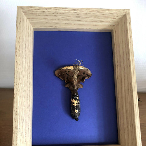 Composition Collet monté | EMPREINTES Paris - EMPREINTES Paris