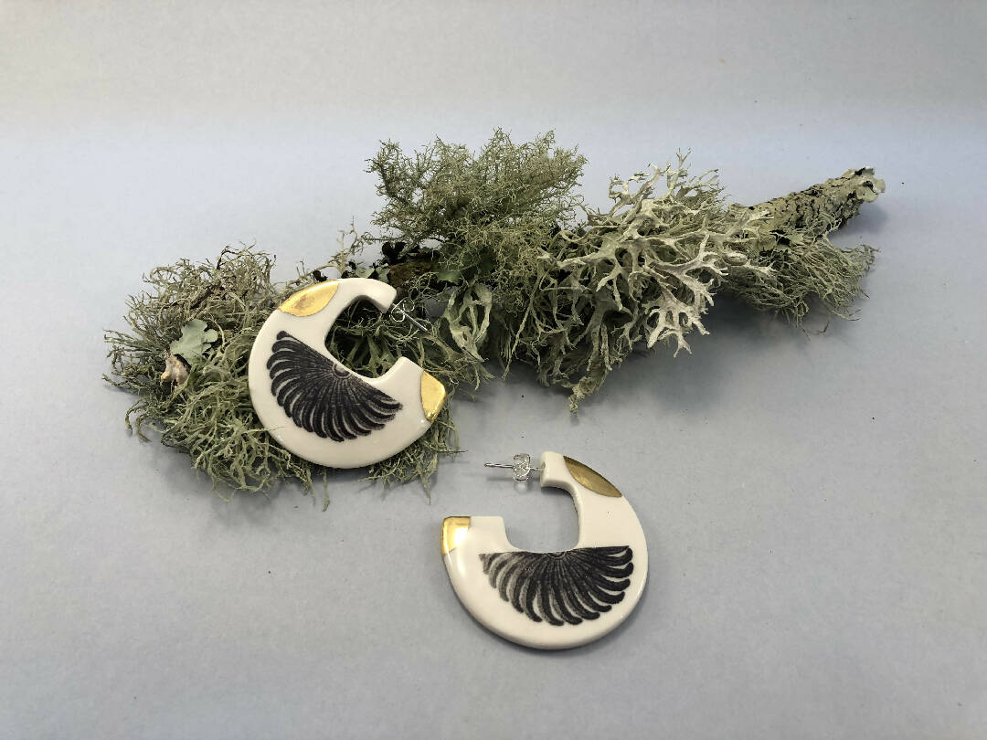 Créoles corail collection Histoire naturelle | EMPREINTES Paris