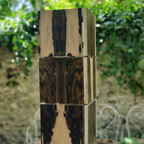 Lampe d'ambiance Bois Ebéniste Dupetit Thouars | EMPREINTES Paris - EMPREINTES Paris