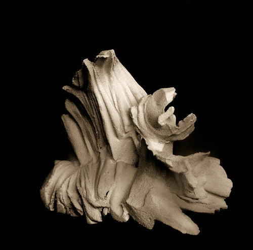 Sculpture PLI-EX-NATURA 2 | EMPREINTES Paris - EMPREINTES Paris