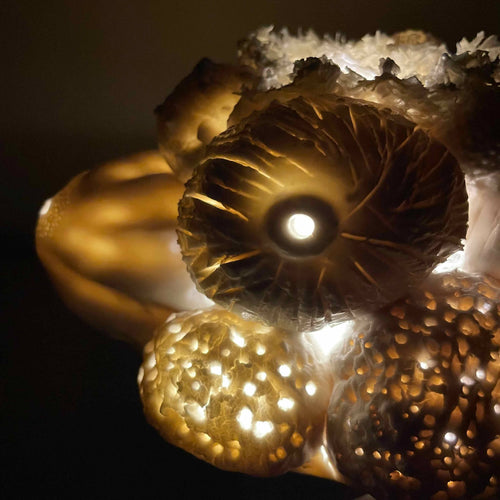 Sculpture Abysse lumineuse 19 | EMPREINTES Paris - EMPREINTES Paris